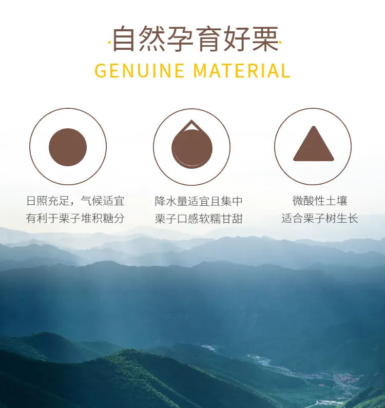 a6cd0bbdef31bc0a8dd4ea5e8ab0bf60