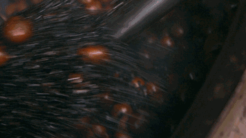 f31747914d8b6f86378df833ffc84266